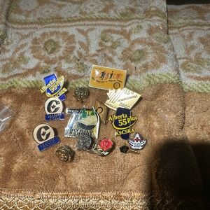 Collector Vintage Enamel Pins Lot - Mixed Gold and Blue Accents